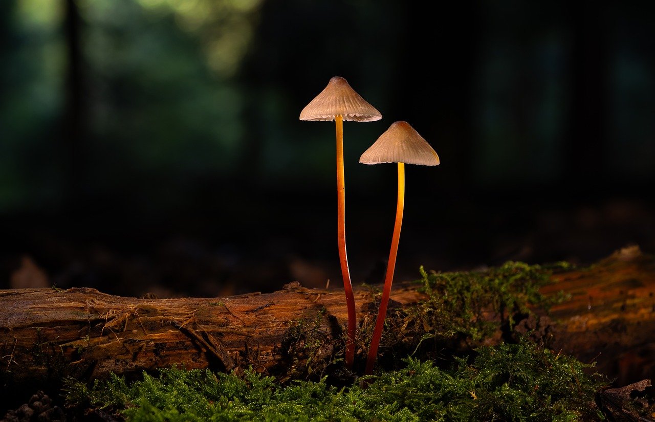 出售私人号微信:鞍山代理注册的公司多吗