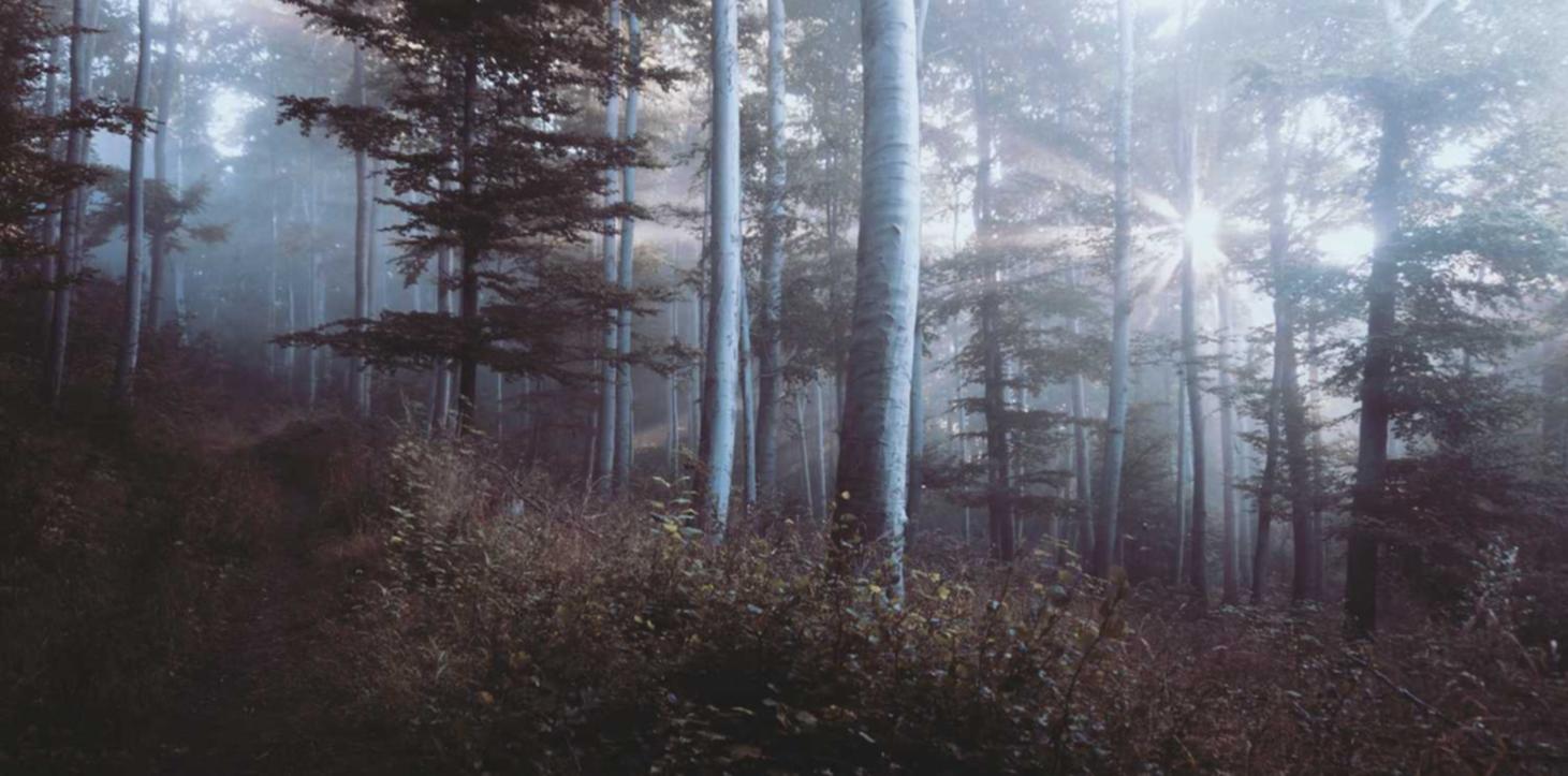 tcp攻击|腾讯cdk购买平台