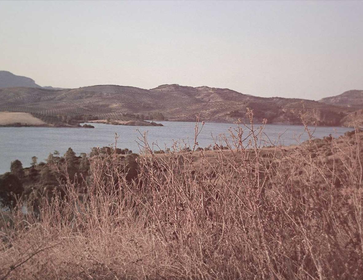 网页DDOS攻击平台|温州冰箱购买平台